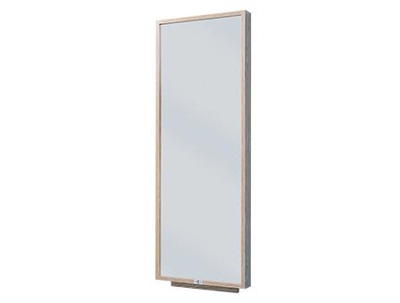 Wall Mounted Mirror Wall Mounted Mirror
